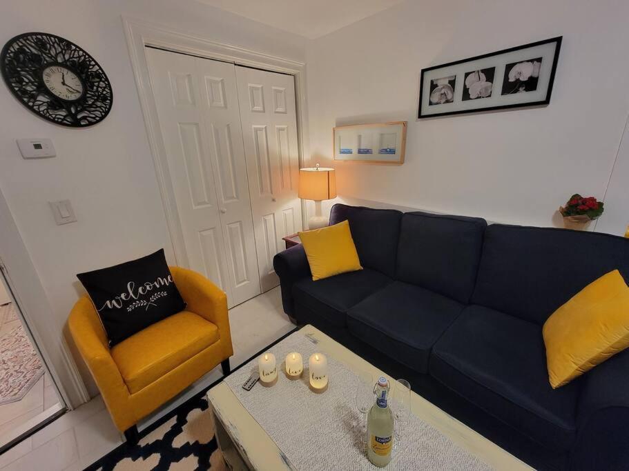 Comfy And Chic Boston Apartment! Free Parking Dış mekan fotoğraf