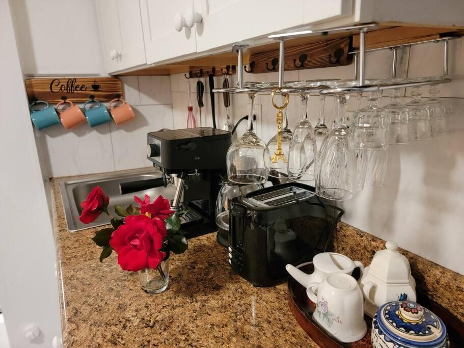 Comfy And Chic Boston Apartment! Free Parking Dış mekan fotoğraf