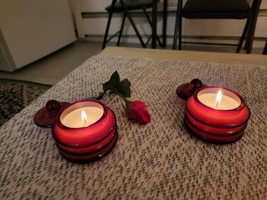 Comfy And Chic Boston Apartment! Free Parking Dış mekan fotoğraf