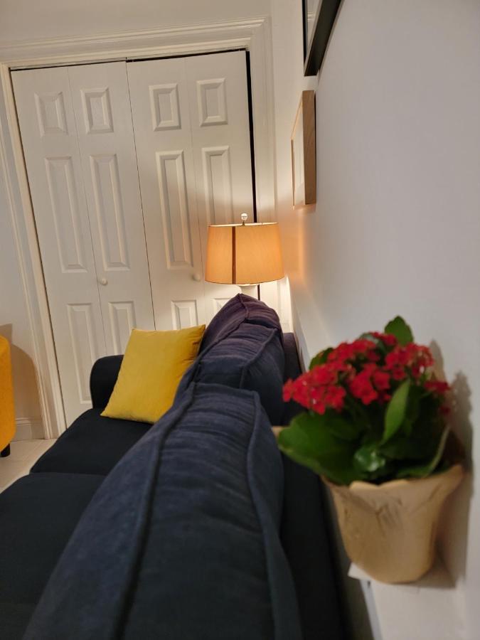 Comfy And Chic Boston Apartment! Free Parking Dış mekan fotoğraf